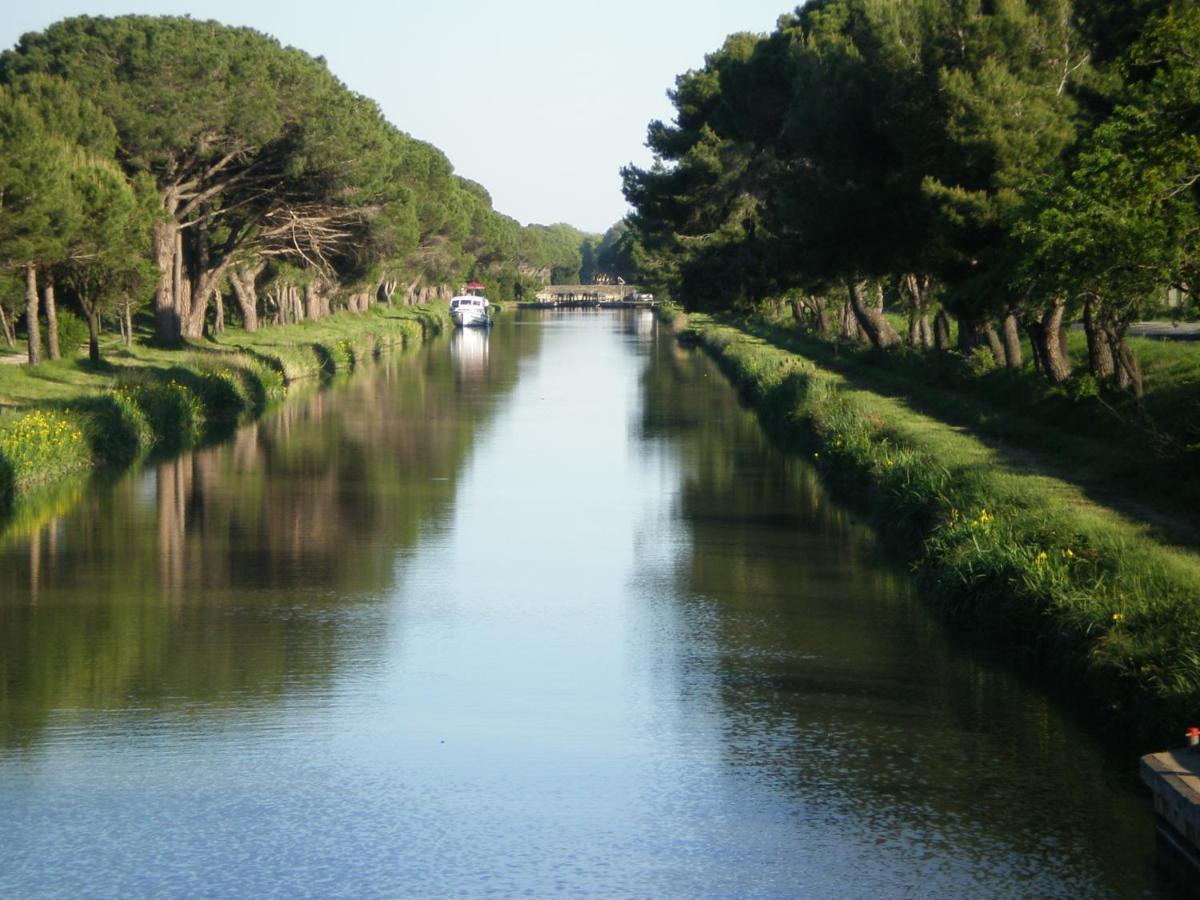 Domaine De L'Herbe Sainte Mirepeisset Dış mekan fotoğraf