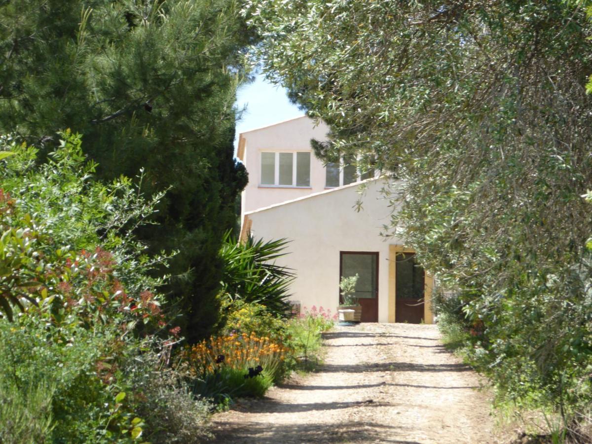 Domaine De L'Herbe Sainte Mirepeisset Dış mekan fotoğraf
