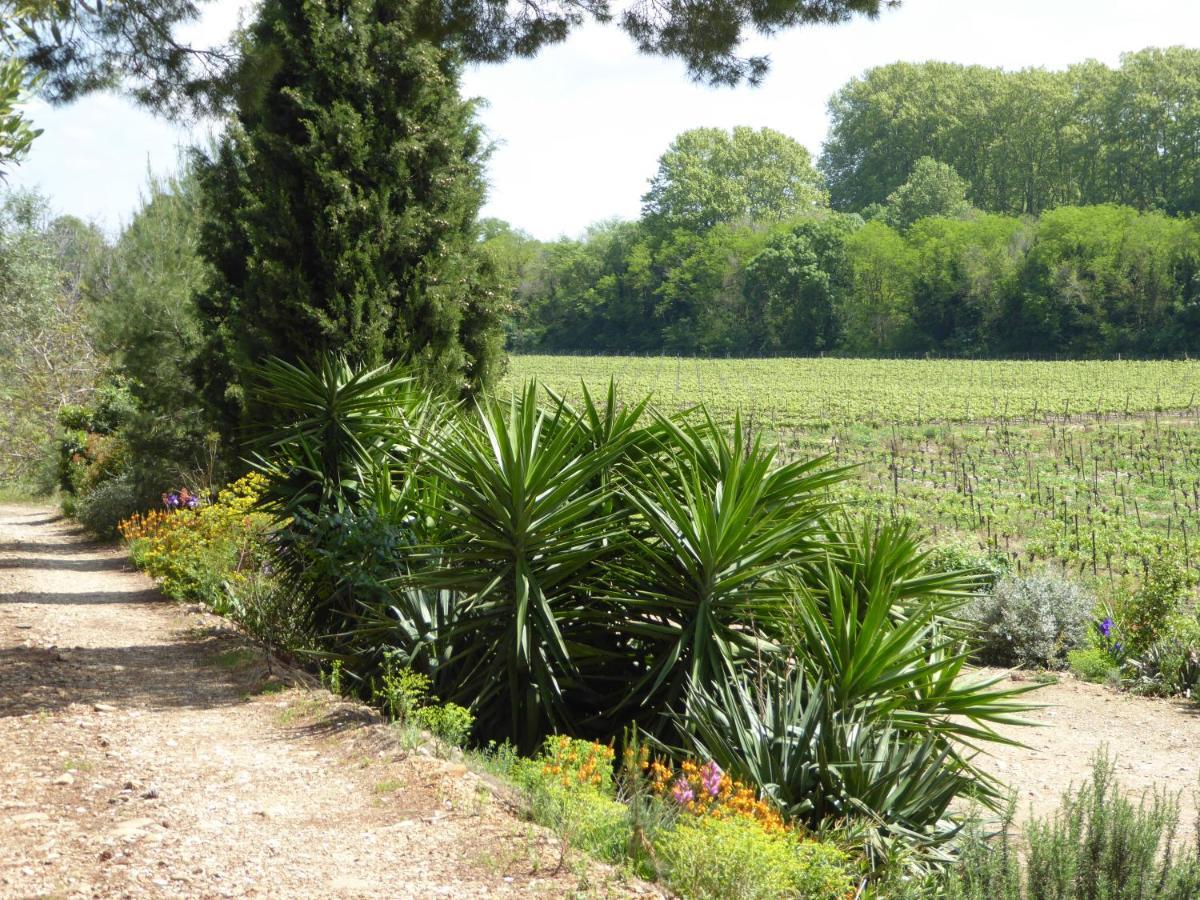 Domaine De L'Herbe Sainte Mirepeisset Dış mekan fotoğraf