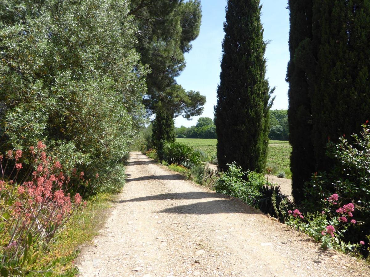 Domaine De L'Herbe Sainte Mirepeisset Dış mekan fotoğraf