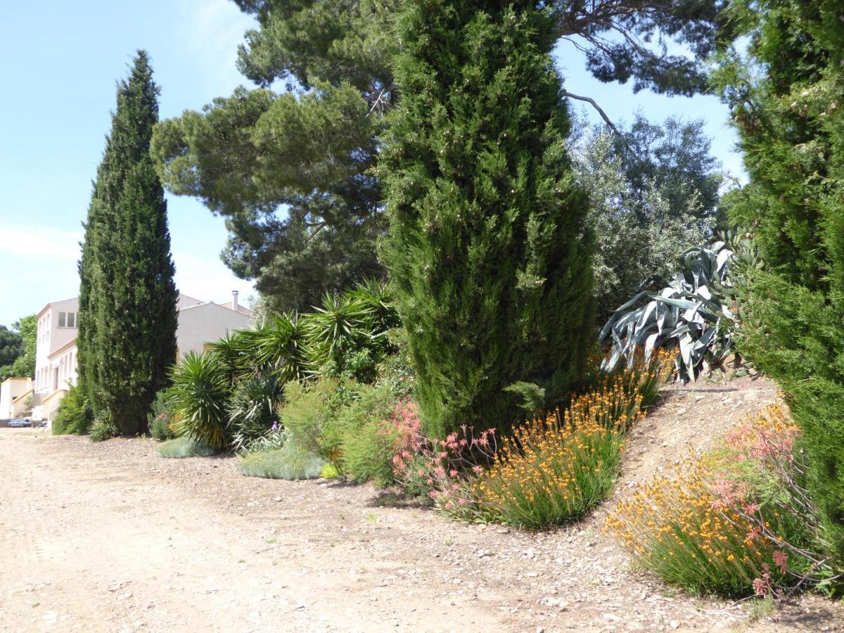 Domaine De L'Herbe Sainte Mirepeisset Dış mekan fotoğraf