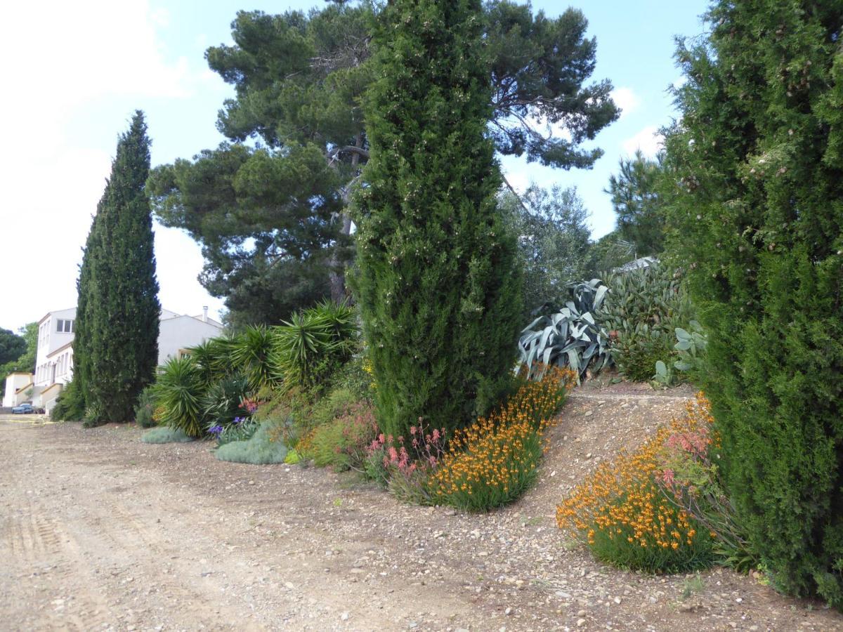 Domaine De L'Herbe Sainte Mirepeisset Dış mekan fotoğraf