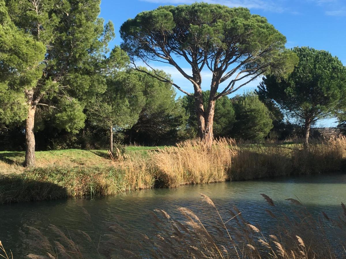 Domaine De L'Herbe Sainte Mirepeisset Dış mekan fotoğraf