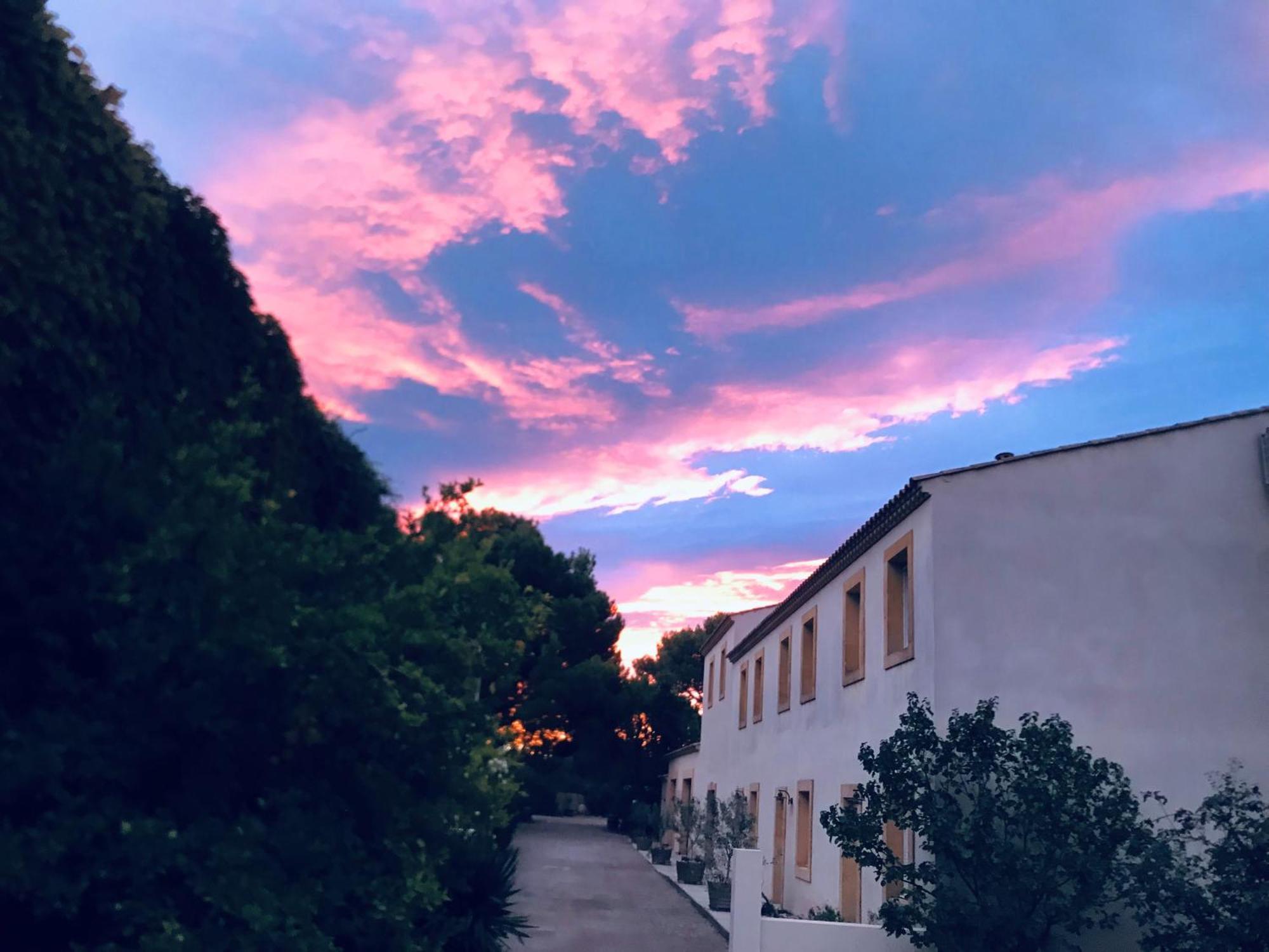 Domaine De L'Herbe Sainte Mirepeisset Dış mekan fotoğraf
