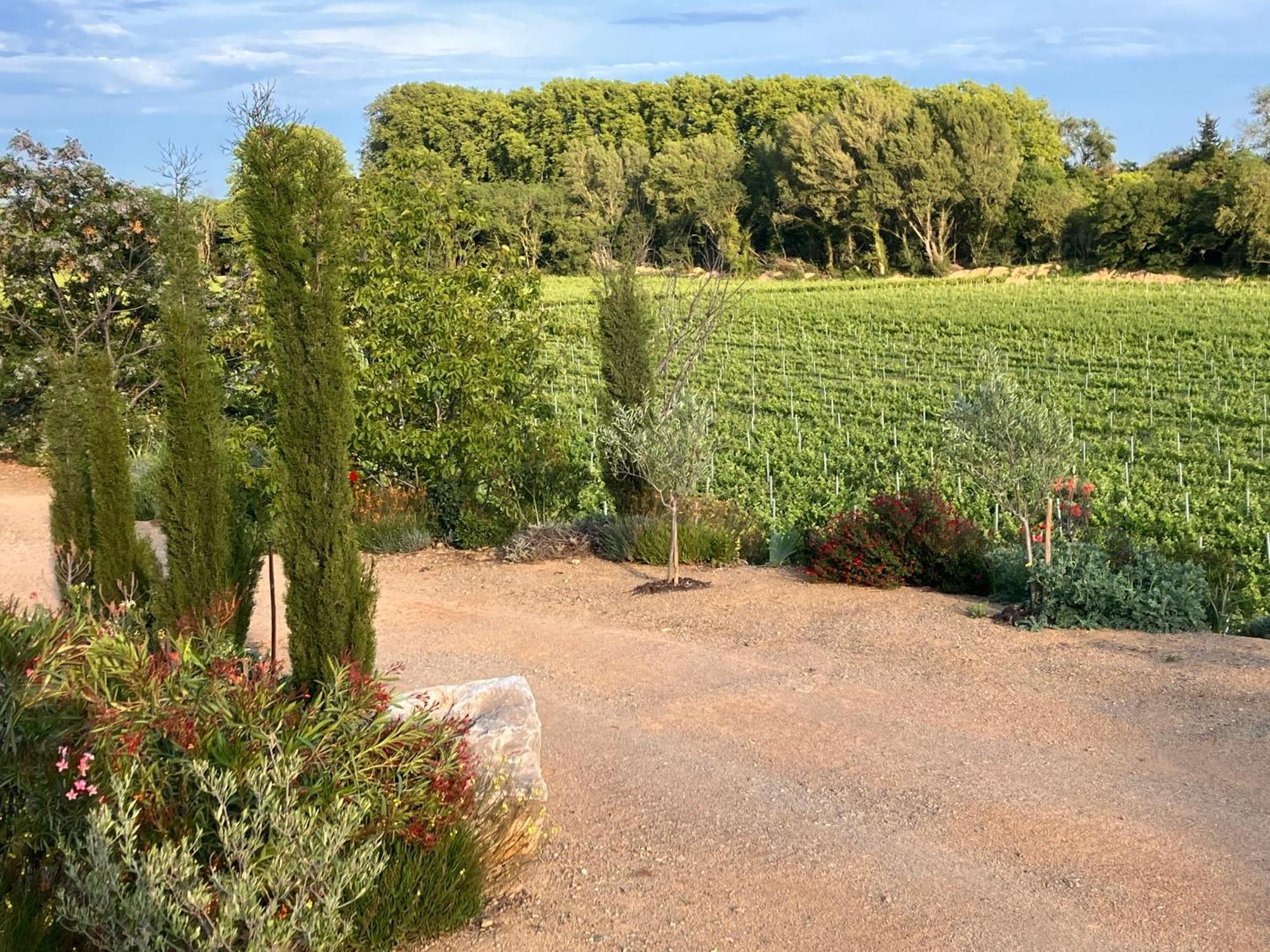 Domaine De L'Herbe Sainte Mirepeisset Dış mekan fotoğraf