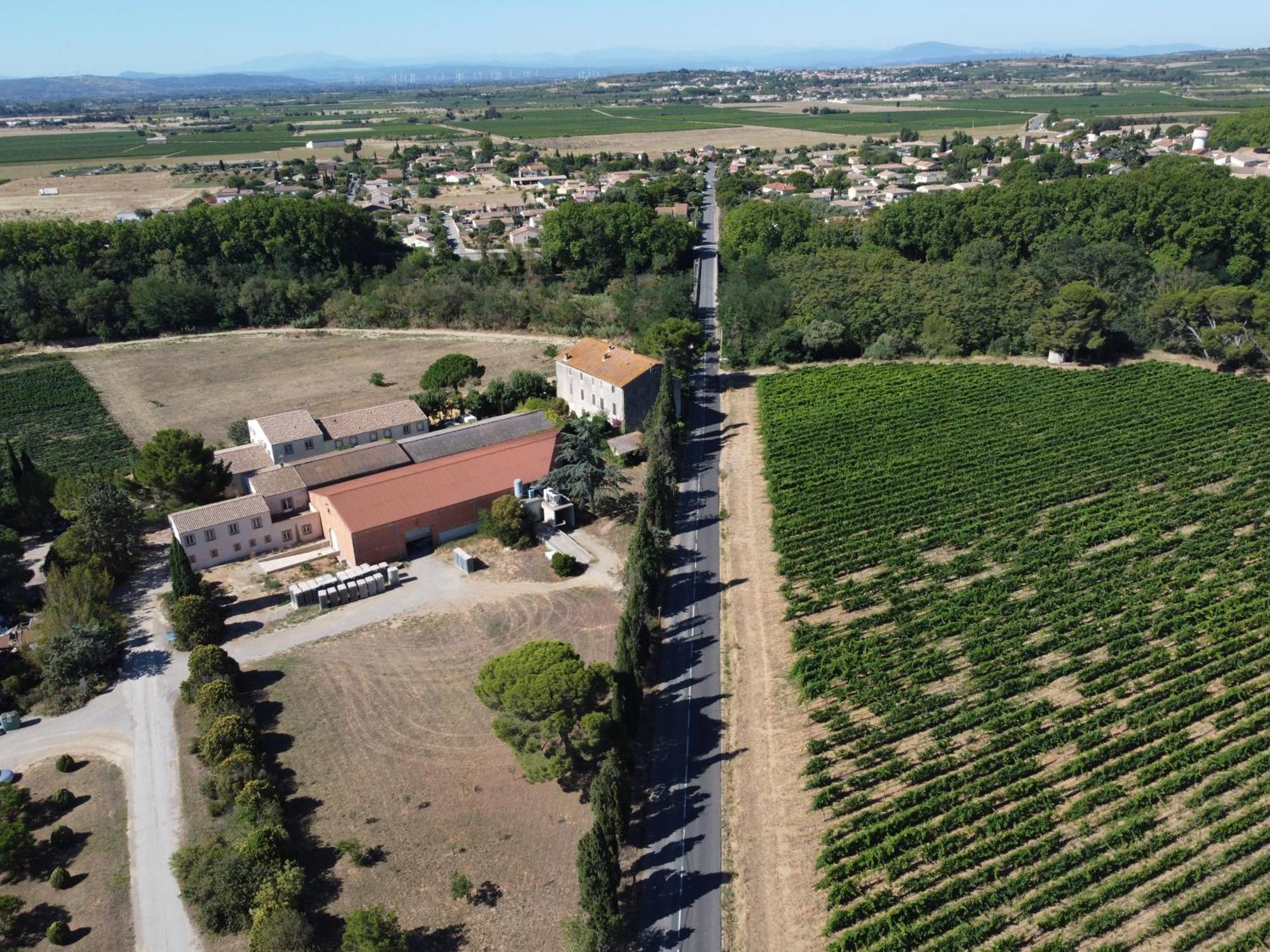 Domaine De L'Herbe Sainte Mirepeisset Dış mekan fotoğraf