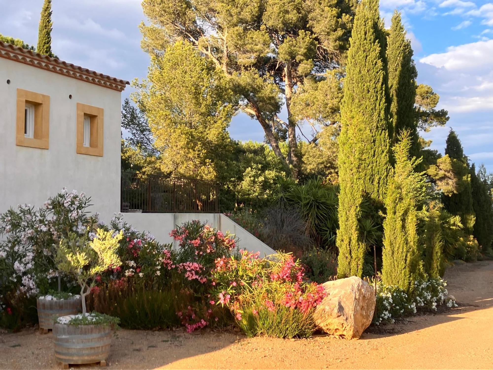 Domaine De L'Herbe Sainte Mirepeisset Dış mekan fotoğraf