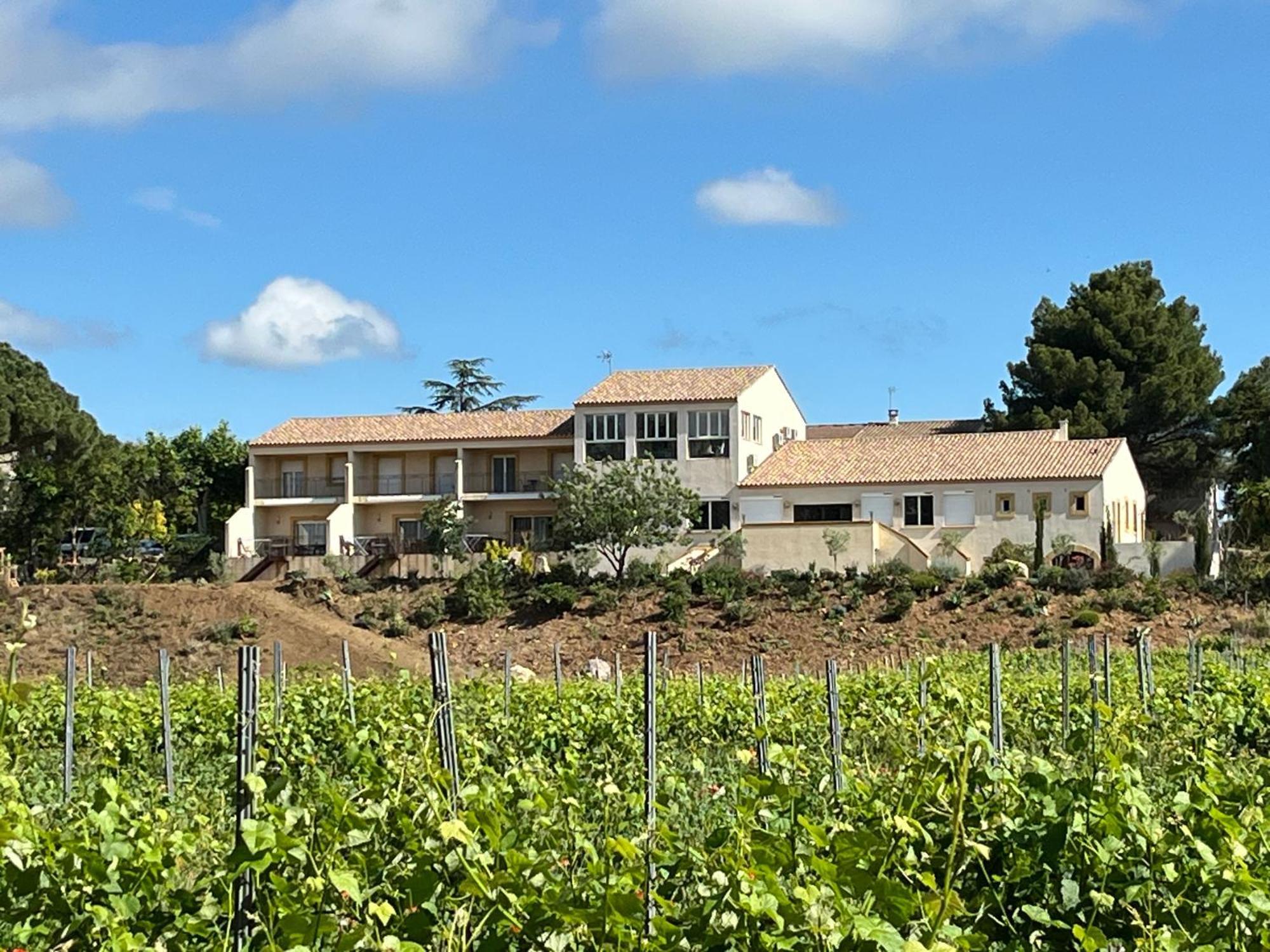 Domaine De L'Herbe Sainte Mirepeisset Dış mekan fotoğraf